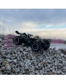 Количка с висока проходимост с дистанционно управление